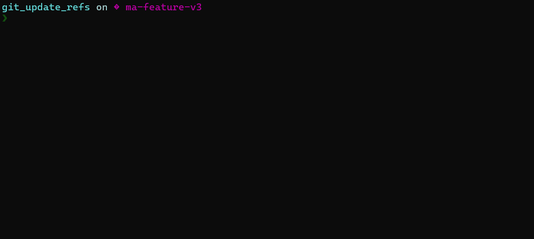 showing commands in terminal
